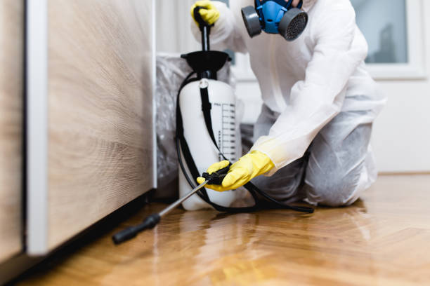 Best Pest Prevention Services  in Paloma Creek South, TX