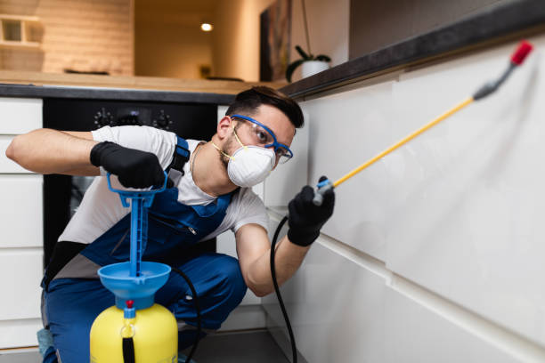 Best Exterminator Services  in Paloma Creek South, TX