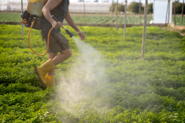 Best Best Pest Control Companies  in Paloma Creek South, TX