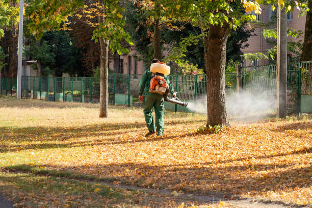 Best Local Pest Control Services  in Paloma Creek South, TX