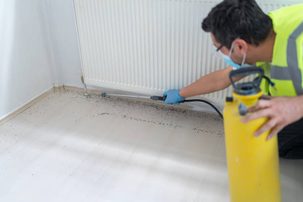 Best Mosquito Control Services  in Paloma Creek South, TX
